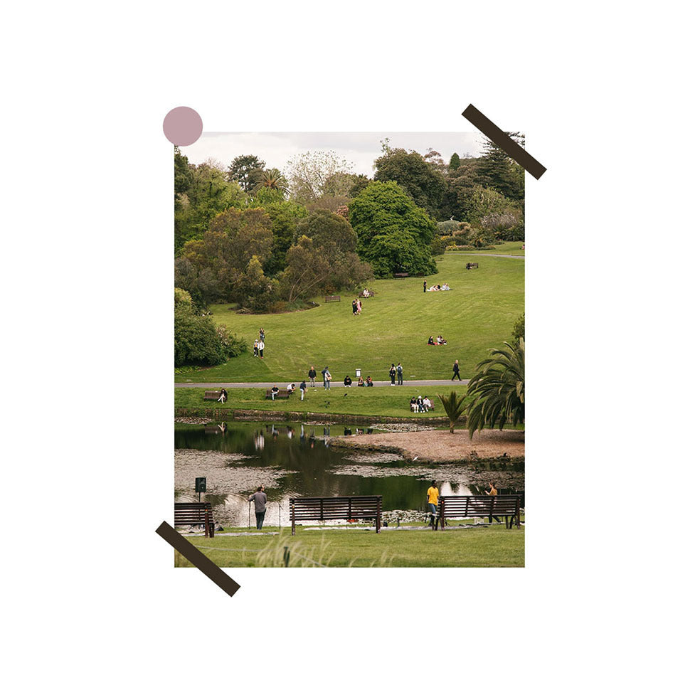 Lawn Park Bedroom Room Background Layout Decorative Painting