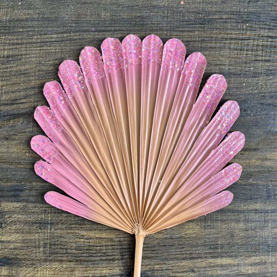 Natural Dried Palm Clam Fan