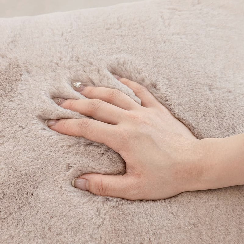 Bed Pillow Sofa Cushion Plush Pillowcase