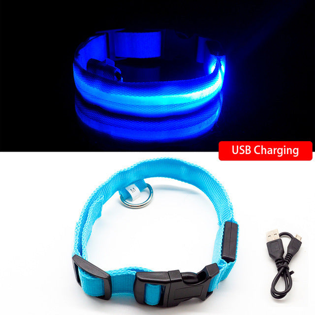 Rechargeable LED Collar