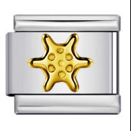 DIY Italian Module Bracelet Titanium Steel Gold Plated