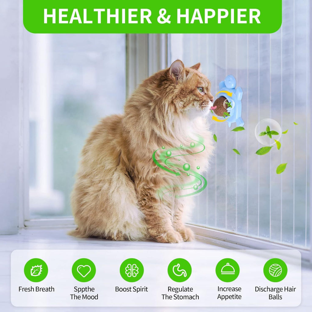 Catnip Ball Catnip Balls For Cats Wall Silvervine For Cats Piece Silvervine Catnip Cat Toys For Indoor Cats Edible Cat Nips Organic Ball