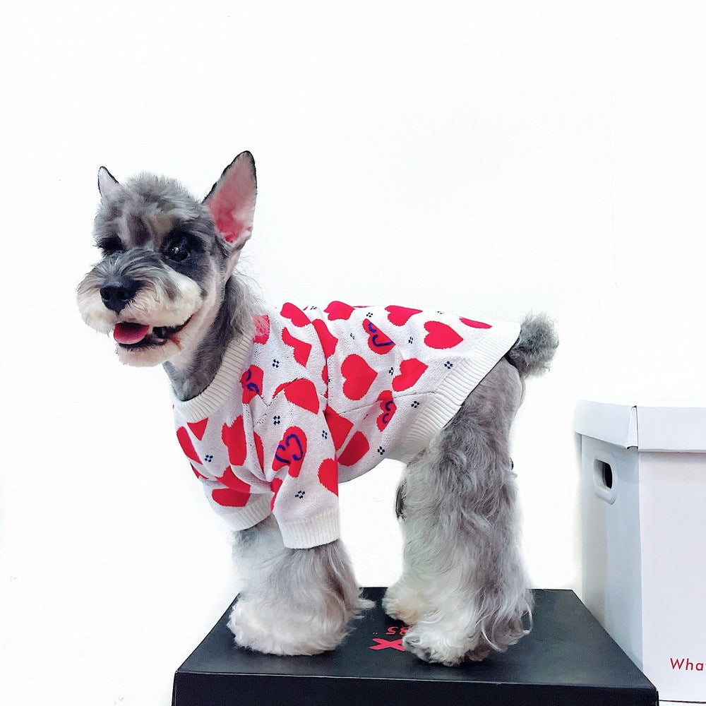 Dog Cat Fighting Schnauzer Teddy Muppet British Short Fall Winter Love Sweater