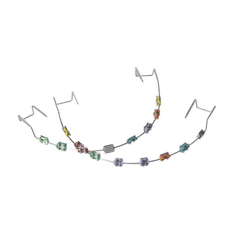 Dental Oral Tooth Socket Decorative Color Complete