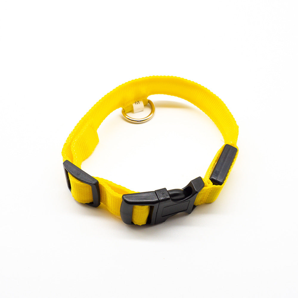 Rechargeable LED Collar