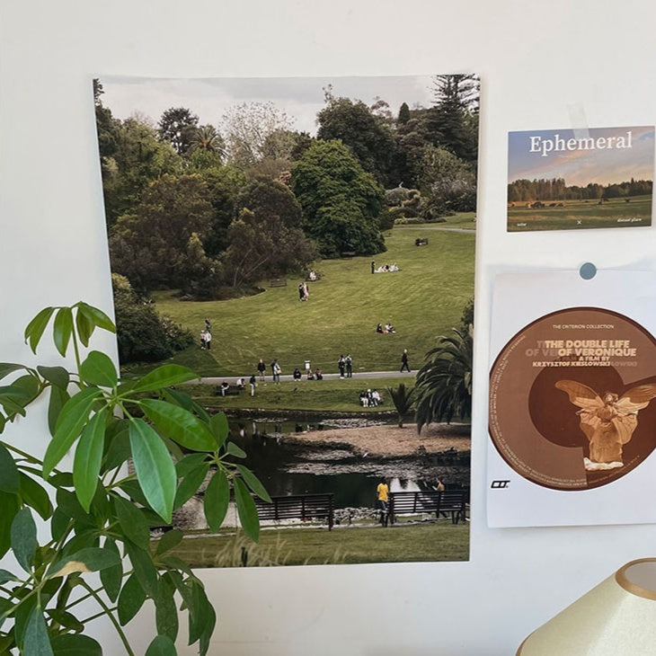 Lawn Park Bedroom Room Background Layout Decorative Painting