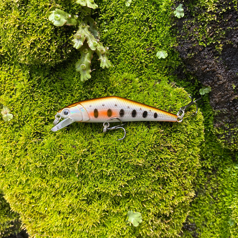 Fashion Personality Warped Mouth Bass Dummy Bait