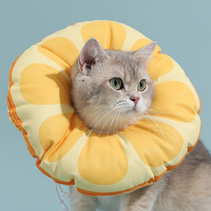 Ring Kitten Anti-licking Bite Shame Collar