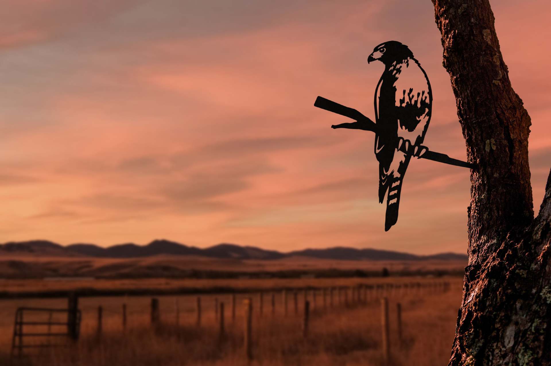 Owl Bird Hummingbird Woodpecker Silhouette Garden Plug-in